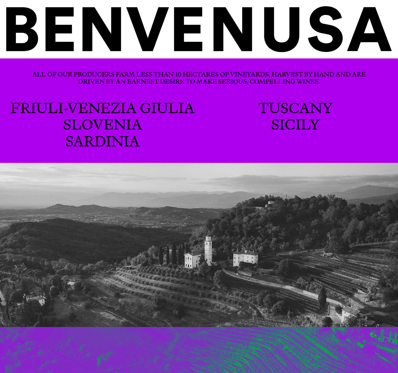 Benvenusa Italian Wines screenshot